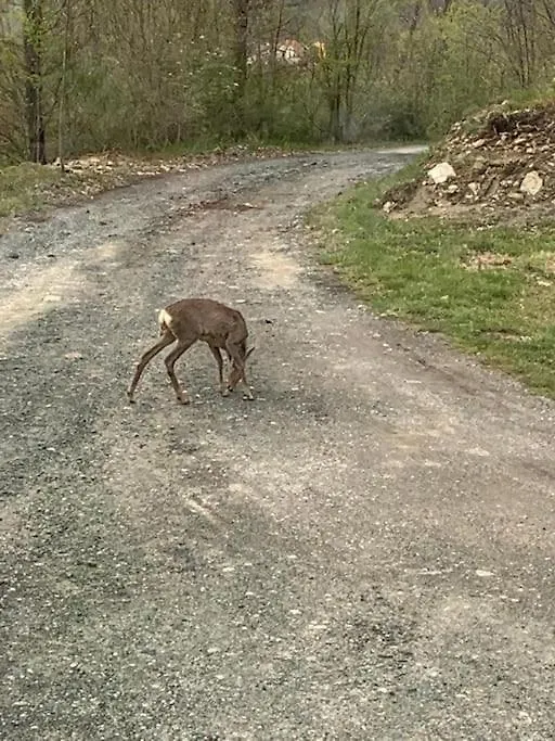 הוילה Varsi La Casa Sulla Collina